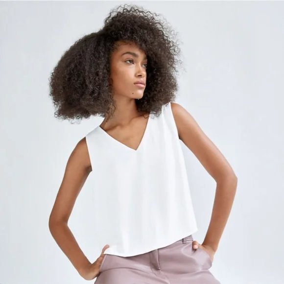 Aritzia Babaton Murphy White and Black Stripe Blouse - Picture 5 of 8